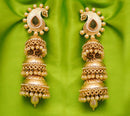 Goldpolish golden jhumi earring-2590