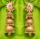 Goldpolish jhumi earring-2594