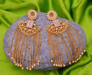 Goldpolish beautiful Earring-2677