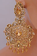 Beautiful golden earring -2717