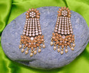 Goldpolish peach earring-2748