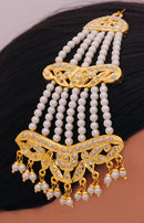 Goldpolish Multicolour Jhumar-1260