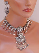 Silverpolish set-1091