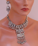 Silverpolish set-1093