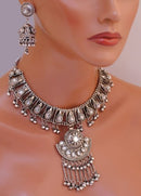 Silverpolish set-1095